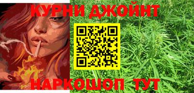 сатива Малгобек